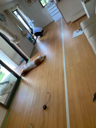 photo02