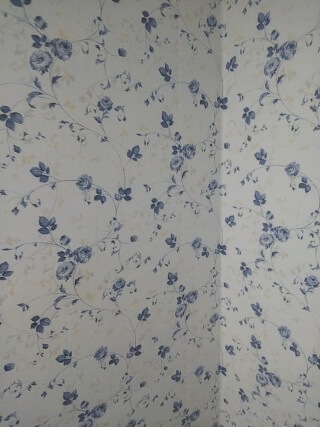 photo02