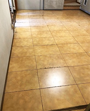 photo02